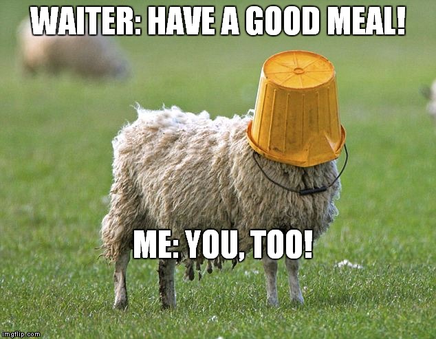 Don't be dumb | WAITER: HAVE A GOOD MEAL! ME: YOU, TOO! | image tagged in stupid sheep | made w/ Imgflip meme maker