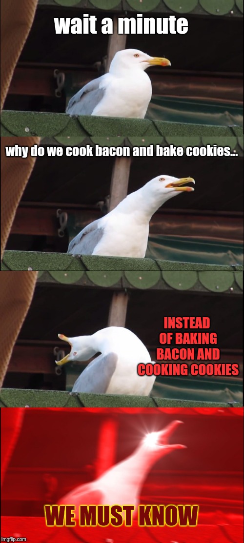 Inhaling Seagull (Credit to someone i met on acnl for giving me the idea for this meme) |  wait a minute; why do we cook bacon and bake cookies... INSTEAD OF BAKING BACON AND COOKING COOKIES; WE MUST KNOW | image tagged in memes,inhaling seagull,bacon and cookies | made w/ Imgflip meme maker