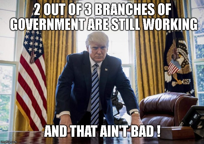 The Executive Branch, Half of The Supreme Court in the Judicial Branch, and Half of The Legislative Branch!  |  2 OUT OF 3 BRANCHES OF GOVERNMENT ARE STILL WORKING; AND THAT AIN'T BAD ! | image tagged in trump oval office,maga,president donald trump,executive branch,judicial branch,legislative branch | made w/ Imgflip meme maker