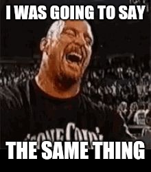 Stone Cold Laughing | I WAS GOING TO SAY THE SAME THING | image tagged in stone cold laughing | made w/ Imgflip meme maker