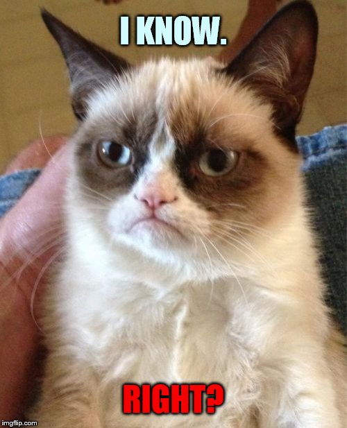 Grumpy Cat Meme | I KNOW. RIGHT? | image tagged in memes,grumpy cat | made w/ Imgflip meme maker