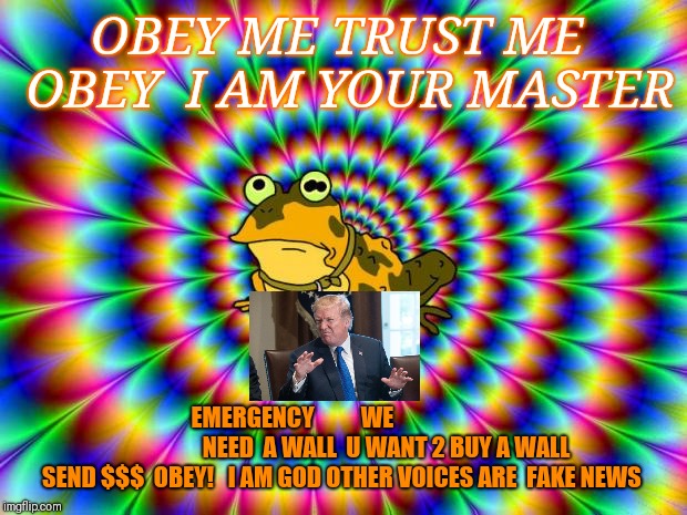 Orange MegloToad's Emergency  | OBEY ME TRUST ME  OBEY  I AM YOUR MASTER; EMERGENCY          WE                                        NEED  A WALL  U WANT 2 BUY A WALL SEND $$$  OBEY! 
 I AM GOD OTHER VOICES ARE  FAKE NEWS | image tagged in hypnotoad,trump lies,trump wall | made w/ Imgflip meme maker