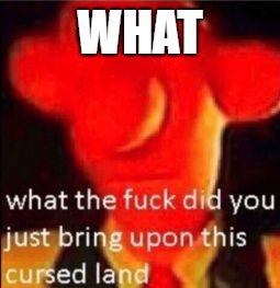What the fuck did you just bring upon this cursed land | WHAT | image tagged in what the fuck did you just bring upon this cursed land | made w/ Imgflip meme maker