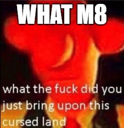 What the fuck did you just bring upon this cursed land | WHAT M8 | image tagged in what the fuck did you just bring upon this cursed land | made w/ Imgflip meme maker