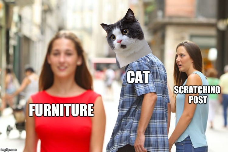 Distracted Boyfriend | CAT; SCRATCHING POST; FURNITURE | image tagged in memes,distracted boyfriend | made w/ Imgflip meme maker