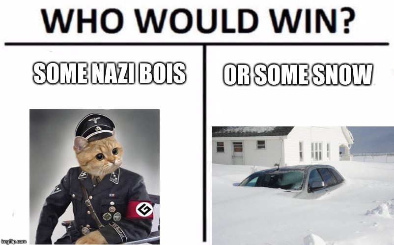 Who Would Win? | SOME NAZI BOIS; OR SOME SNOW | image tagged in memes,who would win | made w/ Imgflip meme maker