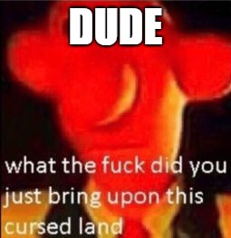 What the fuck did you just bring upon this cursed land | DUDE | image tagged in what the fuck did you just bring upon this cursed land | made w/ Imgflip meme maker