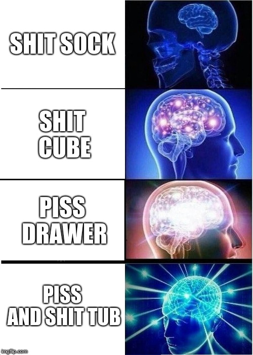 Expanding Brain Meme | SHIT SOCK; SHIT CUBE; PISS DRAWER; PISS AND SHIT TUB | image tagged in memes,expanding brain | made w/ Imgflip meme maker