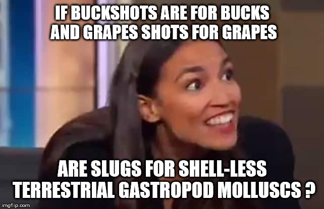 gun shenanigans | IF BUCKSHOTS ARE FOR BUCKS AND GRAPES SHOTS FOR GRAPES; ARE SLUGS FOR SHELL-LESS TERRESTRIAL GASTROPOD MOLLUSCS ? | image tagged in occasional cortex,humor,crazy eyes | made w/ Imgflip meme maker
