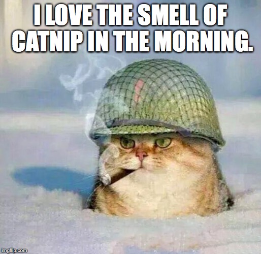 War Cat |  I LOVE THE SMELL OF CATNIP IN THE MORNING. | image tagged in war cat | made w/ Imgflip meme maker