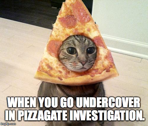 pizza cat | WHEN YOU GO UNDERCOVER IN PIZZAGATE INVESTIGATION. | image tagged in pizza cat | made w/ Imgflip meme maker
