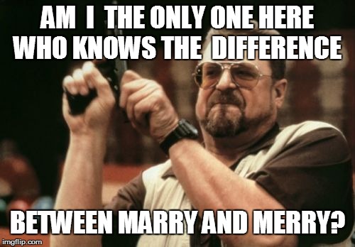 Am I The Only One Around Here Meme | AM  I  THE ONLY ONE HERE WHO KNOWS THE  DIFFERENCE BETWEEN MARRY AND MERRY? | image tagged in memes,am i the only one around here | made w/ Imgflip meme maker