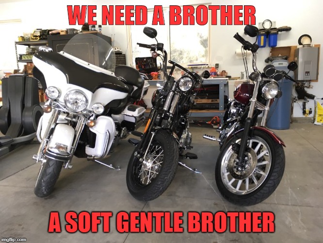 Lonely | WE NEED A BROTHER; A SOFT GENTLE BROTHER | image tagged in harley davidson | made w/ Imgflip meme maker