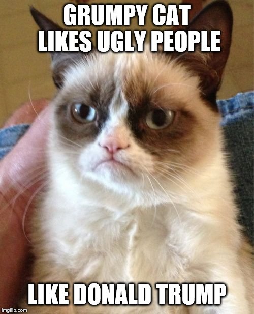 Grumpy Cat | GRUMPY CAT LIKES UGLY PEOPLE; LIKE DONALD TRUMP | image tagged in memes,grumpy cat | made w/ Imgflip meme maker