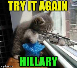 Cat Sniper | TRY IT AGAIN HILLARY | image tagged in cat sniper | made w/ Imgflip meme maker