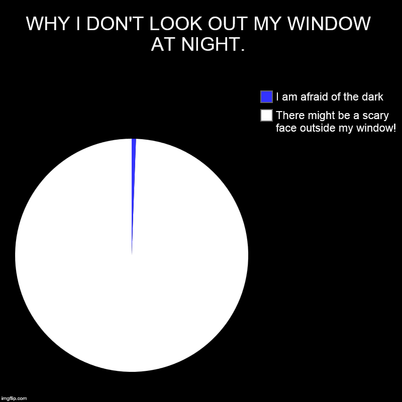 WHY I DON'T LOOK OUT MY WINDOW AT NIGHT. | There might be a scary face outside my window!, I am afraid of the dark | image tagged in charts,pie charts | made w/ Imgflip chart maker