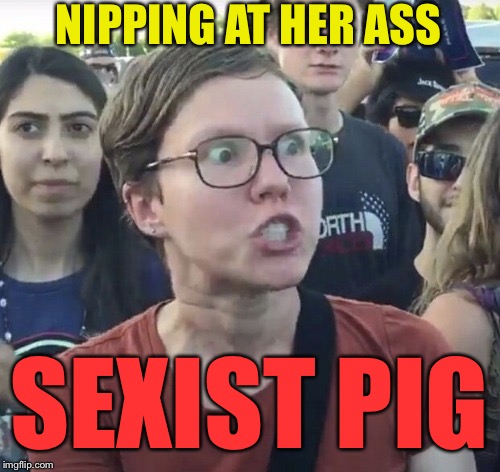 Triggered feminist | NIPPING AT HER ASS SEXIST PIG | image tagged in triggered feminist | made w/ Imgflip meme maker