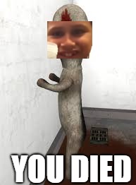 YOU DIED | made w/ Imgflip meme maker