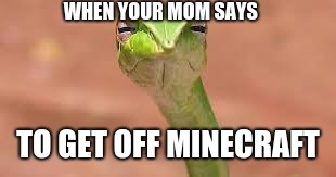 lol | WHEN YOUR MOM SAYS; TO GET OFF MINECRAFT | image tagged in minecraft | made w/ Imgflip meme maker