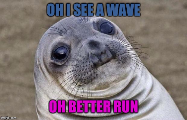 Awkward Moment Sealion Meme | OH I SEE A WAVE; OH BETTER RUN | image tagged in memes,awkward moment sealion | made w/ Imgflip meme maker