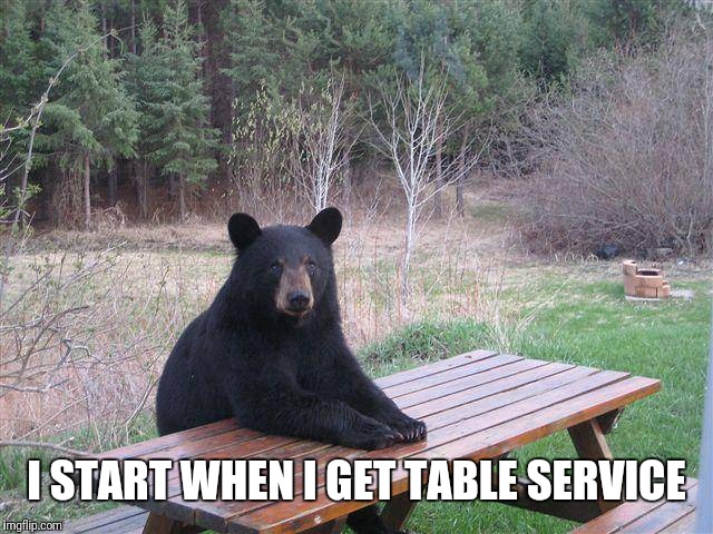 Bear at Picnic Table | I START WHEN I GET TABLE SERVICE | image tagged in bear at picnic table | made w/ Imgflip meme maker