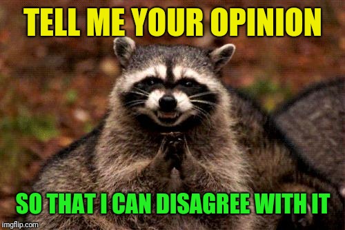 Evil Plotting Raccoon Meme | TELL ME YOUR OPINION SO THAT I CAN DISAGREE WITH IT | image tagged in memes,evil plotting raccoon | made w/ Imgflip meme maker