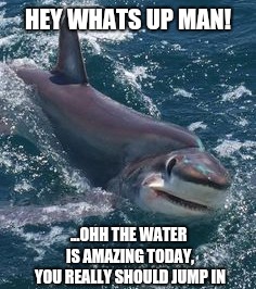 savvy shark | HEY WHATS UP MAN! ...OHH THE WATER IS AMAZING TODAY, YOU REALLY SHOULD JUMP IN | image tagged in shark,laughing,ocean,hehehe | made w/ Imgflip meme maker
