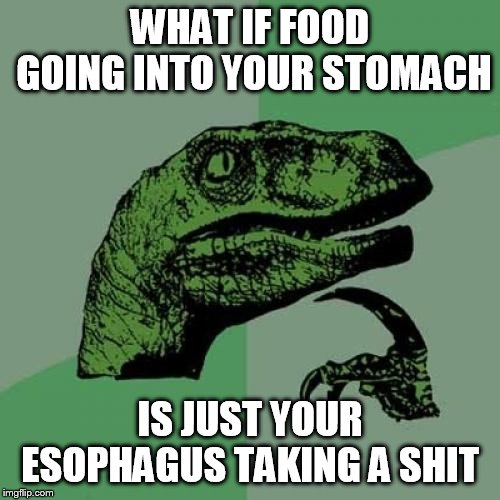 Philosoraptor | WHAT IF FOOD GOING INTO YOUR STOMACH; IS JUST YOUR ESOPHAGUS TAKING A SHIT | image tagged in memes,philosoraptor | made w/ Imgflip meme maker