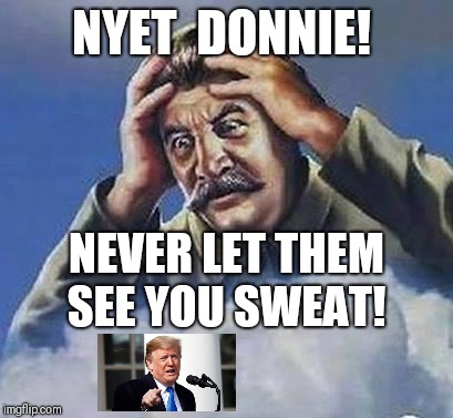 Worrying Stalin | NYET  DONNIE! NEVER LET THEM SEE YOU SWEAT! | image tagged in worrying stalin | made w/ Imgflip meme maker