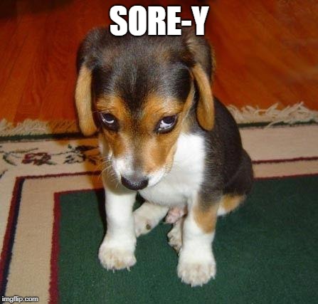 sorry | SORE-Y | image tagged in sorry | made w/ Imgflip meme maker