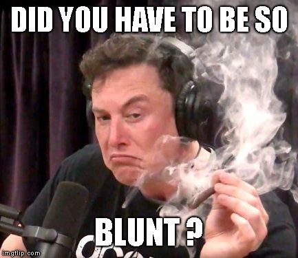elon musk smokin a doobie with red eyes | DID YOU HAVE TO BE SO BLUNT ? | image tagged in elon musk smokin a doobie with red eyes | made w/ Imgflip meme maker