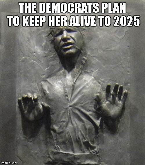 Han Solo Frozen Carbonite | THE DEMOCRATS PLAN TO KEEP HER ALIVE TO 2025 | image tagged in han solo frozen carbonite | made w/ Imgflip meme maker