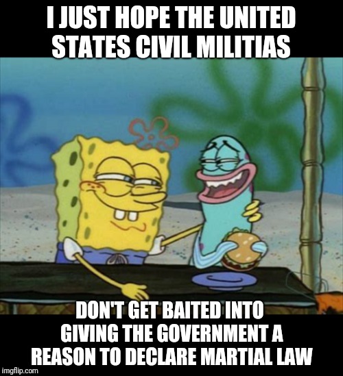 Unseen agenda | I JUST HOPE THE UNITED STATES CIVIL MILITIAS; DON'T GET BAITED INTO GIVING THE GOVERNMENT A REASON TO DECLARE MARTIAL LAW | image tagged in god bless america,maga | made w/ Imgflip meme maker