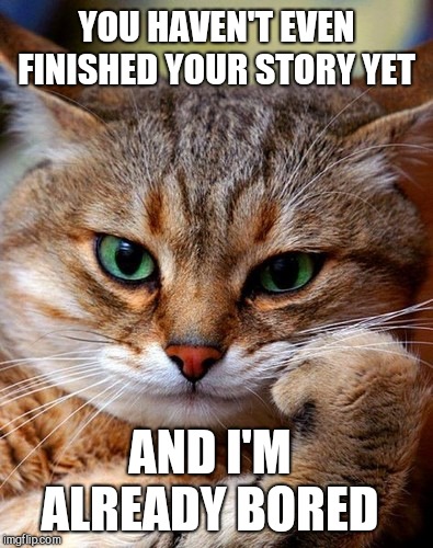 bored cat | YOU HAVEN'T EVEN FINISHED YOUR STORY YET; AND I'M ALREADY BORED | image tagged in bored cat | made w/ Imgflip meme maker