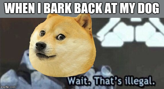 WHEN I BARK BACK AT MY DOG | image tagged in wait thats illegal | made w/ Imgflip meme maker