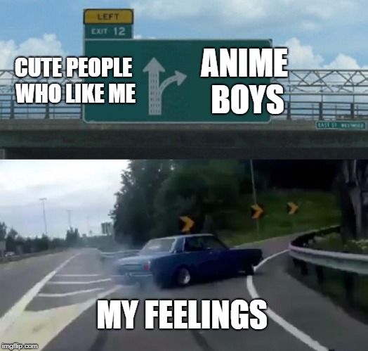 Left Exit 12 Off Ramp Meme | CUTE PEOPLE WHO LIKE ME; ANIME BOYS; MY FEELINGS | image tagged in memes,left exit 12 off ramp | made w/ Imgflip meme maker