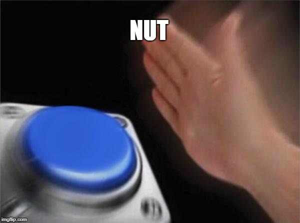 Blank Nut Button Meme | NUT | image tagged in memes,blank nut button | made w/ Imgflip meme maker