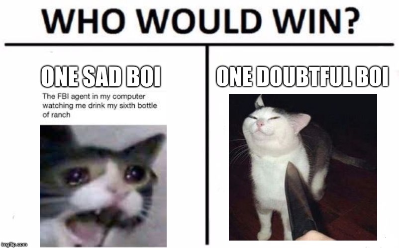 Who Would Win? Meme | ONE SAD BOI; ONE DOUBTFUL BOI | image tagged in memes,who would win | made w/ Imgflip meme maker