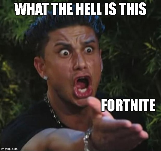 DJ Pauly D | WHAT THE HELL IS THIS; FORTNITE | image tagged in memes,dj pauly d | made w/ Imgflip meme maker