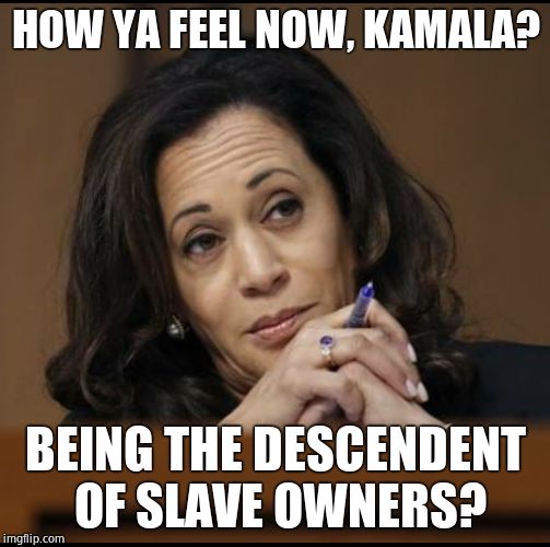 https://jamaicaglobalonline.com/kamala-harris-jamaican-heritage/ | HOW YA FEEL NOW, KAMALA? BEING THE DESCENDENT OF SLAVE OWNERS? | image tagged in kamala harris,slavery,liberals | made w/ Imgflip meme maker
