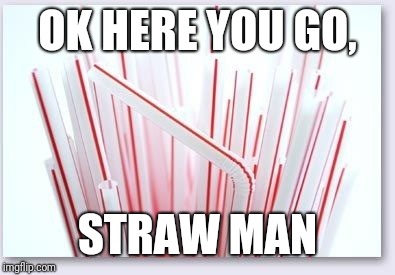 Straws | OK HERE YOU GO, STRAW MAN | image tagged in straws | made w/ Imgflip meme maker