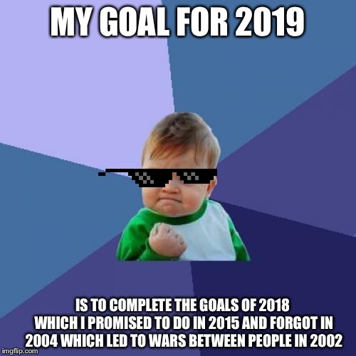 Success Kid Meme | MY GOAL FOR 2019; IS TO COMPLETE THE GOALS OF 2018 WHICH I PROMISED TO DO IN 2015 AND FORGOT IN 2004 WHICH LED TO WARS BETWEEN PEOPLE IN 2002 | image tagged in memes,success kid | made w/ Imgflip meme maker
