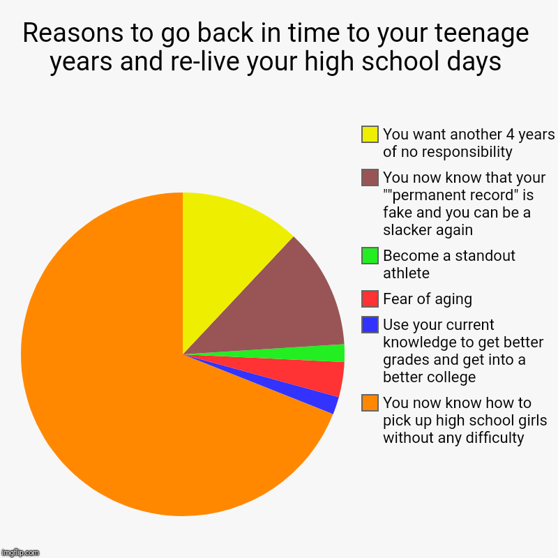 Think Of All The Cheerleaders You Can Take From The Arrogant Pimplefaced Jocks | Reasons to go back in time to your teenage years and re-live your high school days | You now know how to pick up high school girls without a | image tagged in charts,pie charts,high school,time travel | made w/ Imgflip chart maker