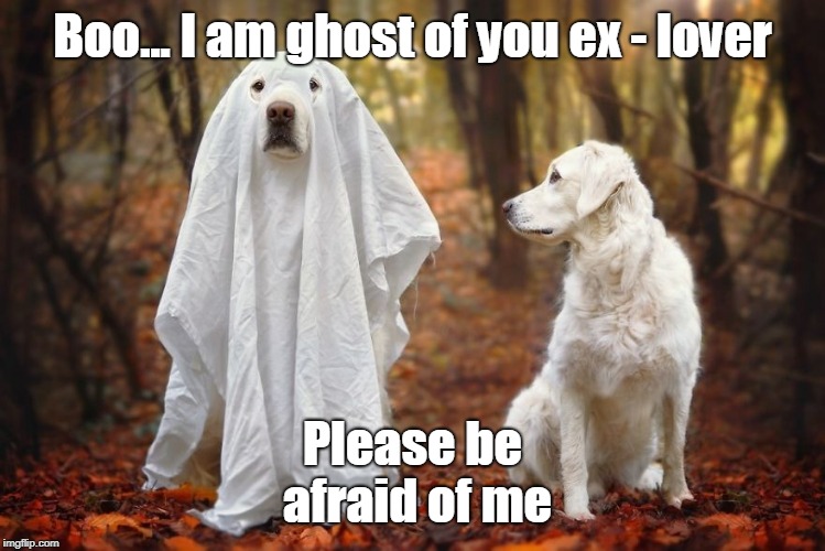 Ghost of Ex-Lover | Boo... I am ghost of you ex - lover; Please be afraid of me | image tagged in memes | made w/ Imgflip meme maker