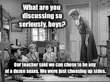 Spin the bottle just got a lot more complicated | What are you discussing so seriously, boys? Our teacher said we can chose to be any of a dozen sexes. We were just choosing up sides. | image tagged in leave it to beaver,mrs cleaver,gender,sexes,choices | made w/ Imgflip meme maker