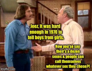 Archie Bunker blows a gasket | Jeez, it was hard enough in 1970 to tell boys from girls. Now you’se say their’s a dozen sexes & people can call themselves whatever sex they chose?! | image tagged in archie bunker mike meathead,multiple sexes,choice,distinguish,funny memes | made w/ Imgflip meme maker