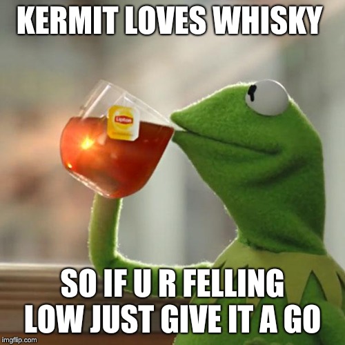 He Loves it  | KERMIT LOVES WHISKY; SO IF U R FELLING LOW JUST GIVE IT A GO | image tagged in memes,but thats none of my business,kermit the frog,imgflip,funny | made w/ Imgflip meme maker