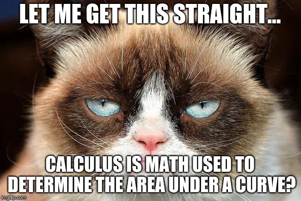 Grumpy Cat Not Amused | LET ME GET THIS STRAIGHT... CALCULUS IS MATH USED TO DETERMINE THE AREA UNDER A CURVE? | image tagged in memes,grumpy cat not amused,grumpy cat | made w/ Imgflip meme maker
