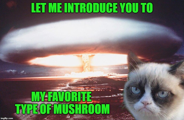 LET ME INTRODUCE YOU TO MY FAVORITE TYPE OF MUSHROOM | made w/ Imgflip meme maker