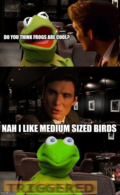 Kermit goes feminazi | DO YOU THINK FROGS ARE COOL? NAH I LIKE MEDIUM SIZED BIRDS | image tagged in kermit triggered,triggered,funny,kermit the frog,memes,funny memes | made w/ Imgflip meme maker